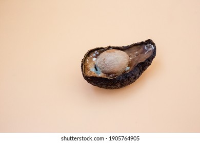 Half Of Unhealthy Rotten Spoiled Avocado On Light Background. Bad Avocado Cut Open. Moldy Avocado