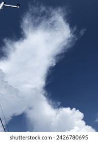 Half Wing Clouds In The Sky