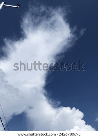 Half Wing Clouds In The Sky