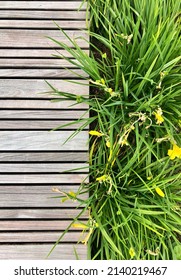 Half Wood Deck And Half Long Grass Landscape With Yellow Flowers