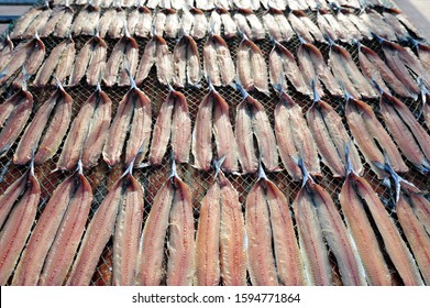 Half-dried Herring or Billfish, Korean called Gwamegi