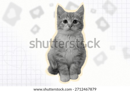 Halftone effect funny cat heads on blue paper background. Trendy retro pet pop aesthetic. 