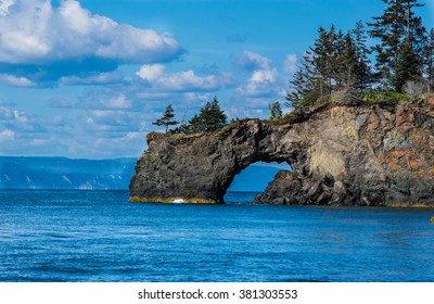 Halibut Cove, Alaska