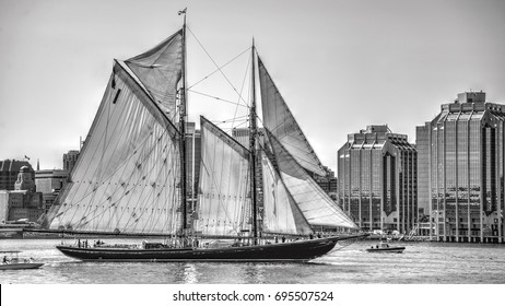 HALIFAX, CANADA - AUG 1, 2017:  The Iconic Bluenose II In Front Of The Halifax Skyline During The Tall Ships Parade Of Sail.  The Original Fishing And Racing Schooner Is Featured On The Canadian Dime.