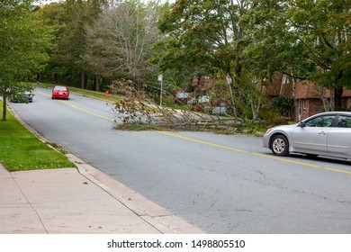 Halifax, Nova Scotia- September 8, 2019 - A Vehicle Waits To Pass A Fallen Branch And Fallen Power Line After Hurricane Dorian In Canada