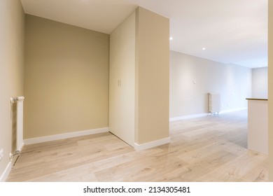 Hall With Closet Of An Empty Apartment