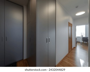 Hall in the modern flat.