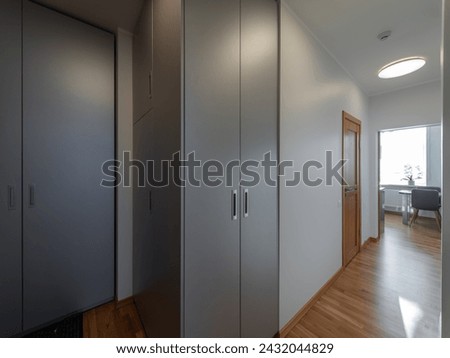 Hall in the modern flat.