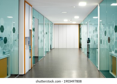 Hall of a modern start up business with transparent glass walls