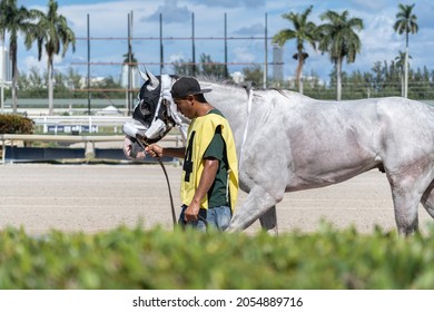 Hallandale Beach, Hollywood Florida United States Of America - August 29, 2021: Gulfstream Park Racetrack, The Worker Carries The Horse That Already Competed.