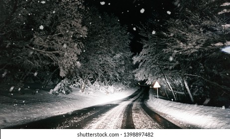 Hallasan Icey Road In Jeju Island. You Can Experience By Watching Deer While Driving At Night.