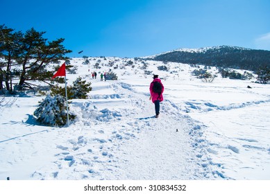 Hallasan Mountain At Jeju Island Korea  In Winter