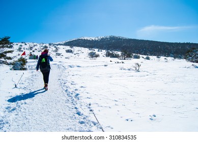 Hallasan Mountain At Jeju Island Korea  In Winter