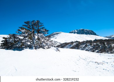 Hallasan Mountain At Jeju Island Korea  In Winter