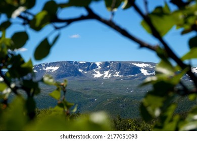 Hallingskarvet Viewed Through Trees In The Forest On The Mountian In Norway During Hiking In Summerbreak.