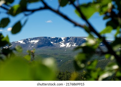 Hallingskarvet Viewed Trough Trees In The Forest On The Mountian In Norway During Hiking In Summerbreak.