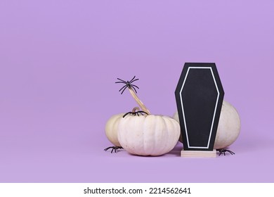 Halloween Arrangement With Coffin Shaped Chalkboard, Baby Boo Pumpkins And Spiders On Purple Background With Copy Space