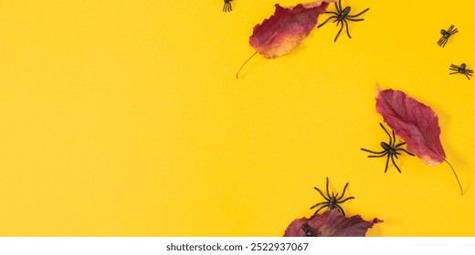 Halloween background. Autumn leaves and spiders on a yellow background. Halloween banner. - Powered by Shutterstock