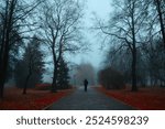 Halloween background, mysterious and spooky autumn alley and un unidentified passerby in the fog. Foggy landscape with autumn trees and mysterious atmosphere