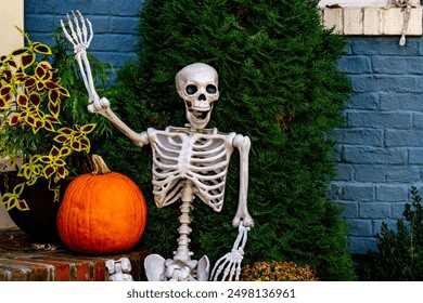 Halloween background. Halloween pumpkin and skeleton for decorated house. Scary Decorated at front yard of a American home. Trick or treat. Halloween background. Autumn holiday of Halloween.