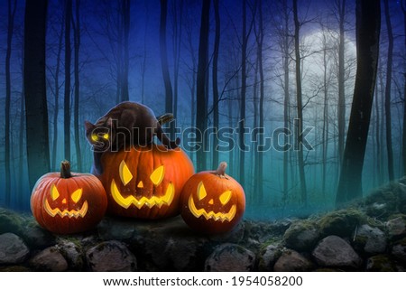 Halloween Background. Scary Pumpkins And Dark Forest with  black cat