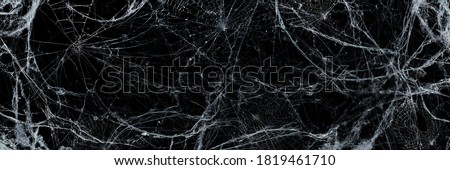 Halloween Background - Spooky Cobweb In The Darkness