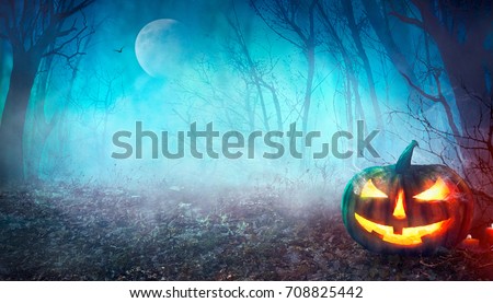 Halloween background. Spooky pumpkin with moon and dark forest. Halloween design with copyspace
