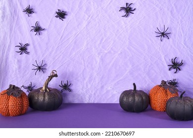 Halloween black and orange pumpkins and cobweb with spiders on purple background. Halloween party decorations