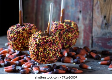 Halloween Candy Carmel Apples With Fall Colors