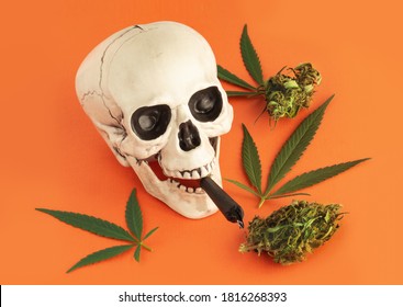 Download Weed Party Images Stock Photos Vectors Shutterstock
