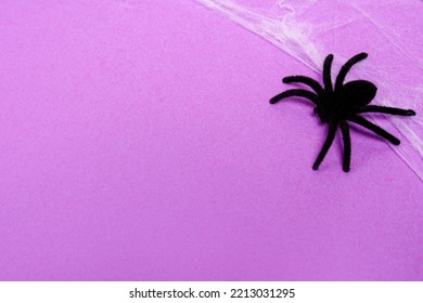 Halloween Card With Spider, Purple Background. Halloween Banner Mockup