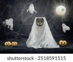 Halloween cat. Funny cat in a ghost costume on a dark background with cobwebs, moon and jack lantern pumpkins. Horror poster.