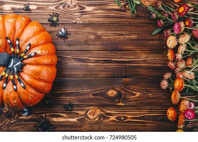 Halloween concept with fresh pumpkins, spiders and bugs with flowers. Trick or Treat view from above