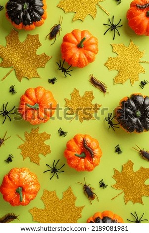 Halloween concept. Top view vertical photo of pumpkins gold sparkle leaves spiders centipedes and cockroaches on isolated light green background
