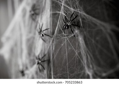 halloween, decoration and horror concept - black toy spiders on artificial cobweb - Powered by Shutterstock