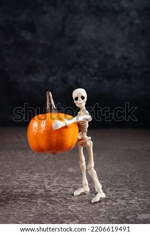 Halloween decoration human skeleton holding a pumpkin on a gray background.