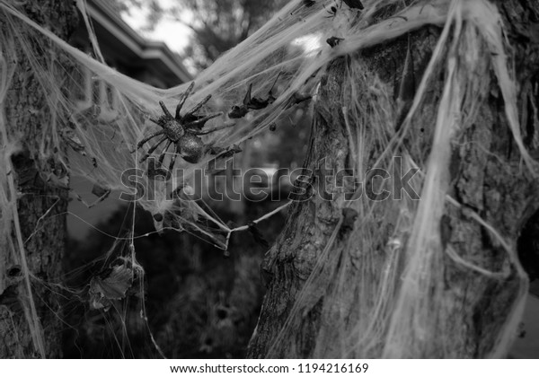 Halloween Decorations Giant Spider Web Black Stock Photo Edit Now