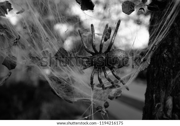 Halloween Decorations Giant Spider Web Black Stock Photo Edit Now