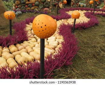 Halloween Decorations, Jack Lanterns. Yellow Brick Road In The Oz Country Made From Pumpkins And Flowers, Autumn Harvest Holiday