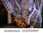 Halloween decorations. Halloween pumpkin and skeleton for decorated house. Scary Decorated at front yard of a American home. Trick or treat. Halloween background. Autumn holiday of Halloween.