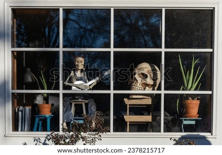 Halloween decorations set up in window display