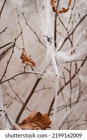 Halloween Decorations White Spider Web On The Background Of Burning Candles In A Dark Room In The Evening. Vertically. Horror