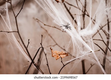 Halloween Decorations White Spider Web On The Background Of Burning Candles In A Dark Room In The Evening. Horror