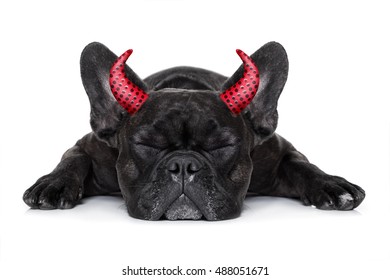 Halloween Devil French Bulldog  Dog ,scared And Frightened,sleeping, Isolated On White Background