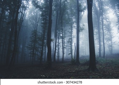 halloween forest background