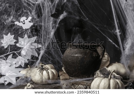 Halloween holiday. Festive composition with witch's pot, pumpkins, bat, ghost, spiders, and cobwebs. Light smoke, black-white tones, festive spirit