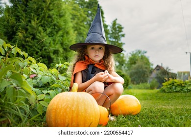 Halloween Kids. Portrait Happy Girl In Witch Costume, Black Hat On Scary Merry Holiday. Child With Pumpkin, Jack O Lantern, Basket Candy Sweet, Scaring Boo