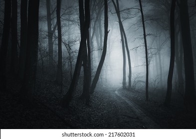 halloween night in dark spooky forest