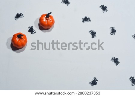 Halloween Objects with Skull Spider and Jack O Lantern Isolated on White Background