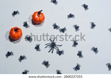 Halloween Objects with Skull Spider and Jack O Lantern Isolated on White Background